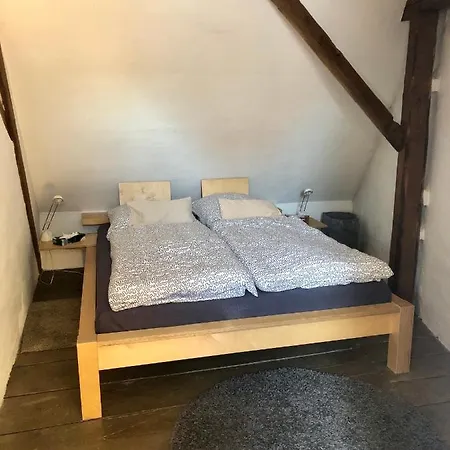 Apartment Hauer Ringsheim