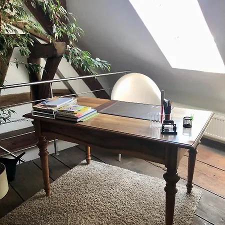 Hauer Apartment