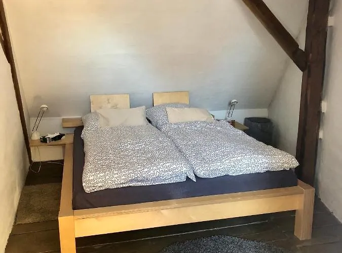 شقة Hauer رينغشيم