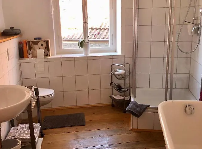 Hauer رينغشيم