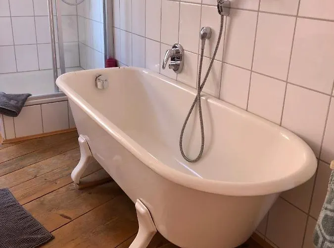 Hauer رينغشيم