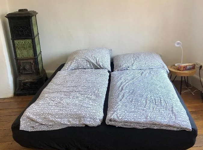 Hauer * رينغشيم