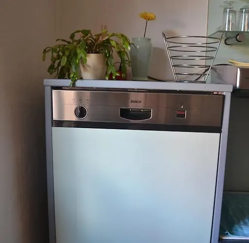 Hauer * رينغشيم